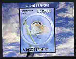 St Thomas & Prince Islands 2010 Butterflies #4 individual imperf deluxe sheetlet unmounted mint. Note this item is privately produced and is offered purely on its thematic appeal