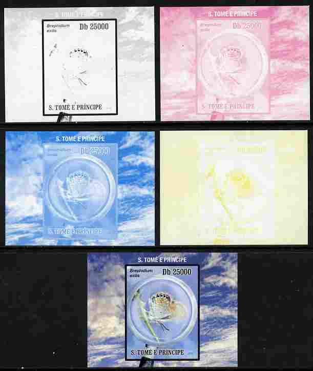 St Thomas & Prince Islands 2010 Butterflies #4 individual deluxe sheetlet - the set of 5 imperf progressive proofs comprising the 4 individual colours plus all 4-colour composite, unmounted mint