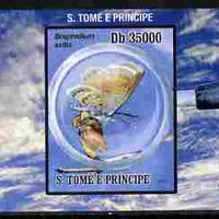 St Thomas & Prince Islands 2010 Butterflies #5 individual imperf deluxe sheetlet unmounted mint. Note this item is privately produced and is offered purely on its thematic appeal