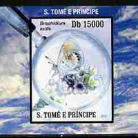 St Thomas & Prince Islands 2010 Butterflies #6 individual imperf deluxe sheetlet unmounted mint. Note this item is privately produced and is offered purely on its thematic appeal