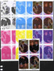 Tuvalu 1986 Royal Wedding (Andrew & Fergie) 60c tete-beche se-tenant block of 4 - set of 7 imperf progressive proofs comprising the 4 individual colours plus 2, 3 and all 4 colour composites unmounted mint (7 tete-beche se-tenant proof blocks)