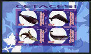 Congo 2010 Cedacea (Whales & Dolphins) #1 imperf sheetlet containing 4 values unmounted mint