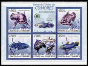 Comoro Islands 2009 Coelcanth Fish perf sheetlet containing 5 values unmounted mint Yv 1671-75, Mi 2334-38