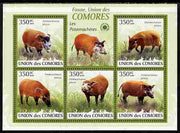 Comoro Islands 2009 Bush Pigs perf sheetlet containing 5 values unmounted mint Yv 1701-05, Mi 2430-35