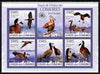 Comoro Islands 2009 Ducks perf sheetlet containing 5 values unmounted mint Yv 1706-10, Mi 2357-61