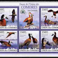 Comoro Islands 2009 Ducks perf sheetlet containing 5 values unmounted mint Yv 1706-10, Mi 2357-61