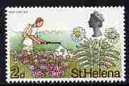 St Helena 1968 Scrubwood & Pest Control 2d (from def set) unmounted mint, SG 229