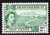 Montserrat 1953-62 QEII Sea Island Cotton 2c green unmounted mint SG 138