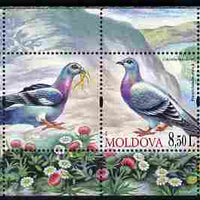 Moldova 2010 Birds - Pigeons perf s/sheet containing 2 values unmounted mint