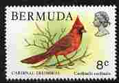 Bermuda 1978 Common Cardinal 8c unmounted mint, SG 391