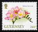 Guernsey 1992-97 Flowers definitive 26p Freesia unmounted mint SG 576b