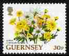 Guernsey 1992-97 Flowers definitive 30p Spray Chrysanthemum unmounted mint SG 578