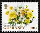Guernsey 1992-97 Flowers definitive 30p Spray Chrysanthemum unmounted mint SG 578