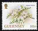 Guernsey 1992-97 Flowers definitive 50p Freesia unmounted mint SG 580