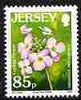 Jersey 2005-07 Flower definitives 85p Cuckoo Flower unmounted mint, SG 1230