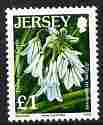 Jersey 2005-07 Flower definitives £1 Three Cornered Garlic unmounted mint, SG 1232