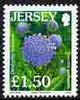 Jersey 2005-07 Flower definitives £1.50 Devil'sbit Scabiousunmounted mint, SG 1233