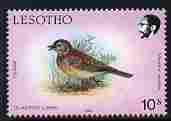 Lesotho 1988 Birds 10s Clapper Lark unmounted mint, SG 794