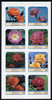 Equatorial Guinea 1976 Roses imperf set of 8 unmounted mint (Mi 972-79B)