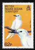British Indian Ocean Territory 1990 Birds 62p White Tern unmounted mint SG 98