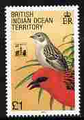 British Indian Ocean Territory 1990 Birds £1 Madagascar Fody unmounted mint SG 101