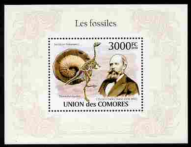 Comoro Islands 2010 Fossils perf m/sheet unmounted mint