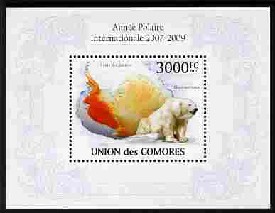 Comoro Islands 2010 International Polar Year perf m/sheet unmounted mint