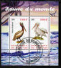 Burundi 2011 Fauna of the World - Pelicans perf sheetlet containing 2 values fine cto used