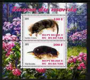 Burundi 2011 Fauna of the World - Moles perf sheetlet containing 2 values unmounted mint