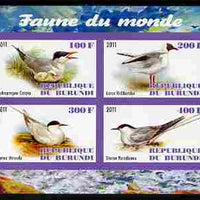 Burundi 2011 Fauna of the World - Gulls & Terns imperf sheetlet containing 4 values unmounted mint