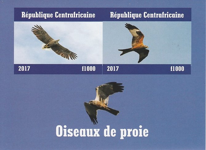 Central African Republic 2017 Birds of Prey #1 imperf sheetlet containing 2 values unmounted mint. Note this item is privately produced and is offered purely on its thematic appeal