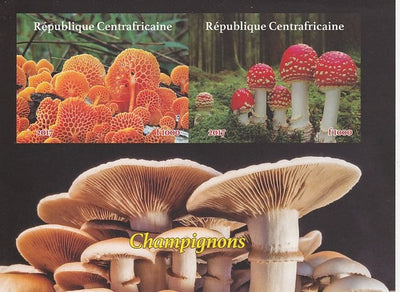 Central African Republic 2017 Fungi imperf sheetlet containing 2 values unmounted mint. Note this item is privately produced and is offered purely on its thematic appeal