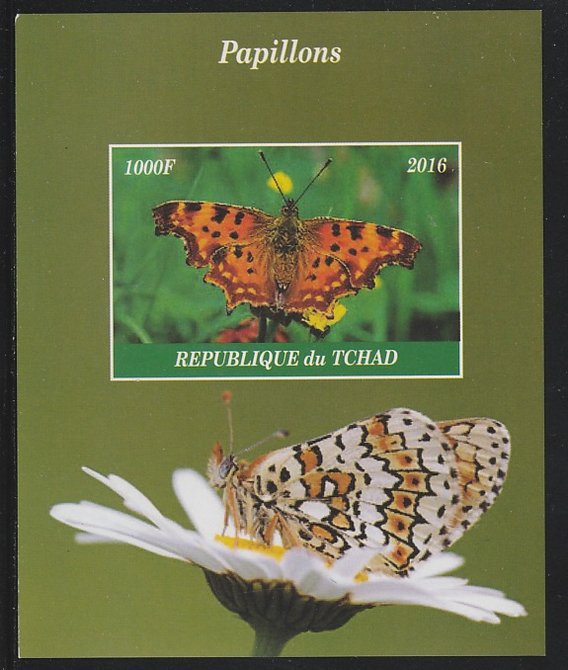 Chad 2016 Butterflies imperf s/sheet containing 1 value unmounted mint. Note this item is privately produced and is offered purely on its thematic appeal. .