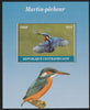 Central African Republic 2016 Kingfisher perf s/sheet containing 1 value unmounted mint. Note this item is privately produced and is offered purely on its thematic appeal