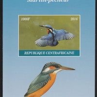 Central African Republic 2016 Kingfisher imperf s/sheet containing 1 value unmounted mint. Note this item is privately produced and is offered purely on its thematic appeal