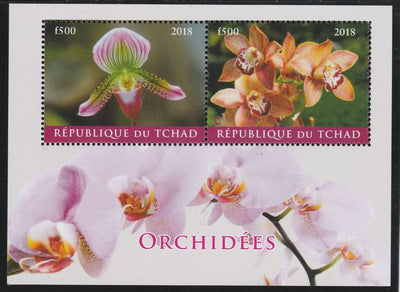 Chad 2018 Orchids perf sheetlet containing 2 values unmounted mint. Note this item is privately produced and is offered purely on its thematic appeal. .