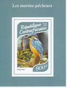Central African Republic 2017 Birds - Kingfishers #4 imperf deluxe sheet unmounted mint. Note this item is privately produced and is offered purely on its thematic appeal.