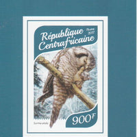 Central African Republic 2017 Owls #2 imperf deluxe sheet unmounted mint. Note this item is privately produced and is offered purely on its thematic appeal.