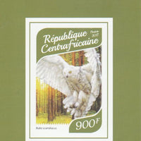 Central African Republic 2017 Owls #3 imperf deluxe sheet unmounted mint. Note this item is privately produced and is offered purely on its thematic appeal.