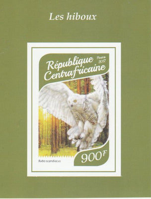 Central African Republic 2017 Owls #3 imperf deluxe sheet unmounted mint. Note this item is privately produced and is offered purely on its thematic appeal.