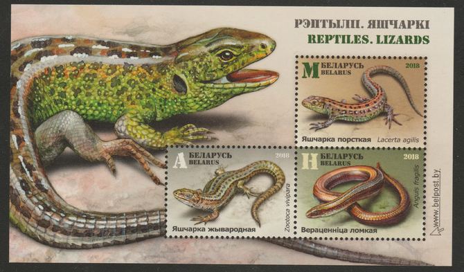 Belarus 2018 Reptiles perf m/sheet unmounted mint