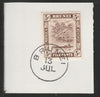 Brunei 1924 River Scene 5c chocolate (SG68) on piece with full strike of Madame Joseph forged postmark type 104