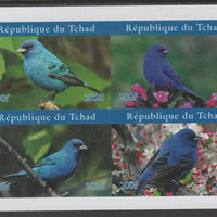 Chad 2020 The Bluebird imperf sheetlet containing 4 values unmounted mint. Note this item is privately produced and is offered purely on its thematic appeal, it has no postal validity