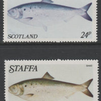 Staffa 1979 Fish - Shad 24p perf single showing a superb shade apparently due to a dry print of the yellow complete with normal both unmounted mint