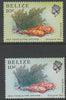 Belize 1984-88 Sea Fans & Fire Sponge 10c two superb shades both unmounted mint SG 772var