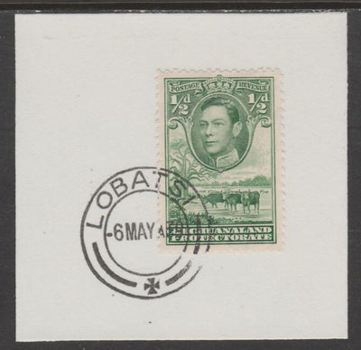 Bechuanaland 1938 KG6 Cattle 1/2d on piece cancelled with full strike of Madame Joseph forged postmark type 57