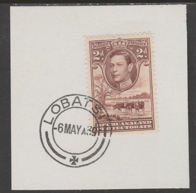 Bechuanaland 1938 KG6 Cattle 2d on piece cancelled with full strike of Madame Joseph forged postmark type 57