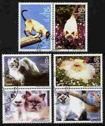 Afghanistan 2003 Domestic Cats perf set of 6 fine cto used