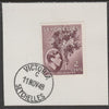 Seychelles 1938 KG6 2c purple-brown on piece cancelled with full strike of Madame Joseph forged postmark type 389