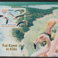 Cuba 2007 Tourism & Wildlife imperf m/sheet unmounted mint, SG MS5074